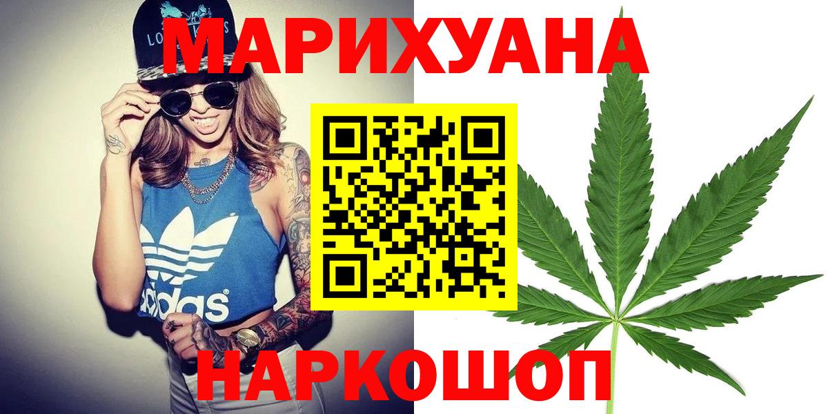 Каннабис сатива Нефтекумск